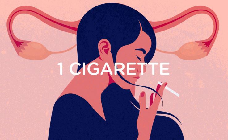 Mutuelle Mieux-Etre fait le point sur les effets du tabagisme sur la production d'œstrogènes